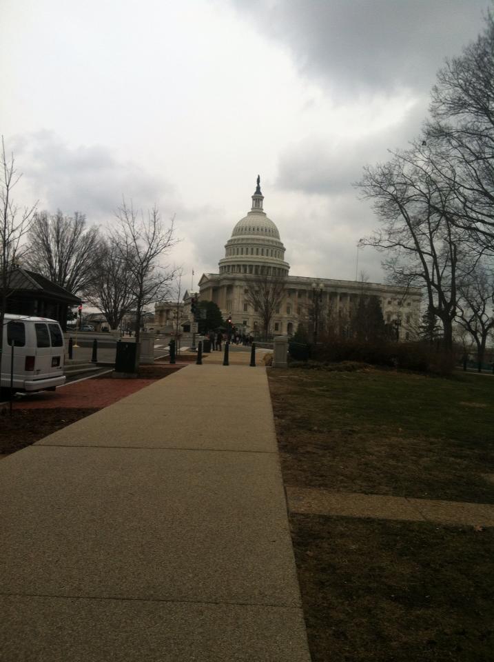 The capitol